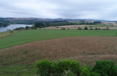 Sítio para venda em Arandu